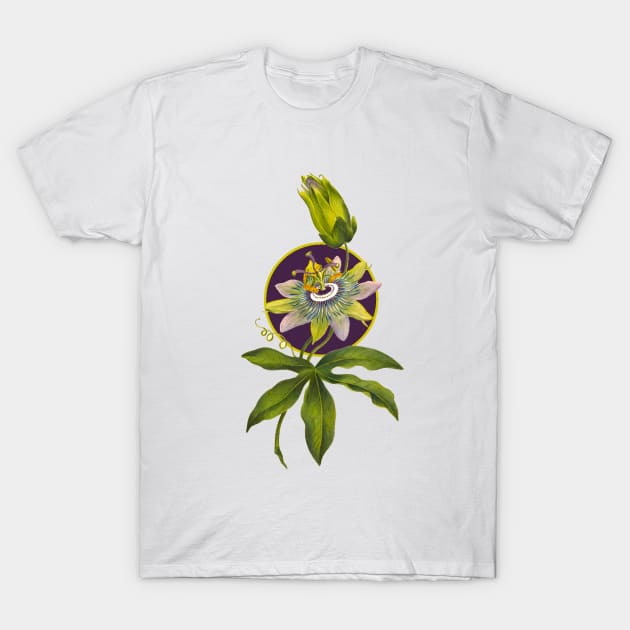 Passion fruit flower T-Shirt by Marccelus